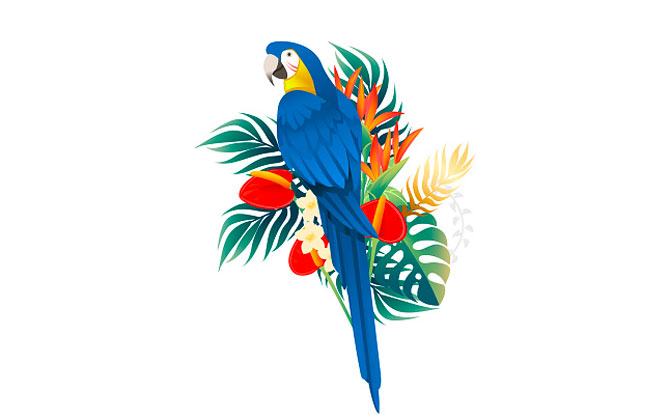 Parrot Puns And One-Liners