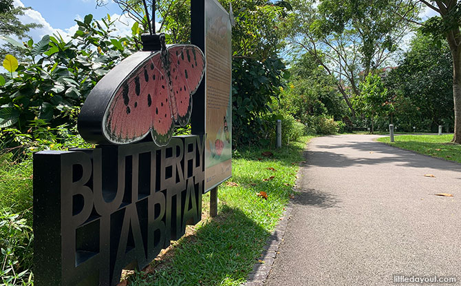 Butterfly Habitat, Bishan-Ang Mo Kio Park