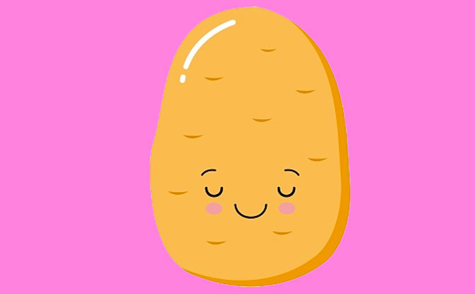 80+ Potato Jokes To Tell Your Spuds
