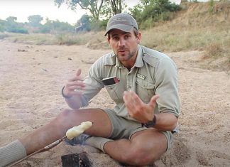 WILDchild Virtual Experience: Meet A Real-Life Ranger In Africa Via Zoom andBeyond’s WILDchild Virtual Experience