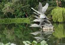Singapore Botanic Gardens & Fort Canning Park Heritage Festival 2026: Exciting Programmes, Workshops, Tours & More Singapore Botanic Gardens & Fort Canning Park Heritage Festival 2026: Exciting Programmes, Workshops, Tours & More