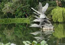 Singapore Botanic Gardens & Fort Canning Park Heritage Festival 2026: Exciting Programmes, Workshops, Tours & More Singapore Botanic Gardens & Fort Canning Park Heritage Festival 2026: Exciting Programmes, Workshops, Tours & More
