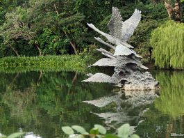 Singapore Botanic Gardens & Fort Canning Park Heritage Festival 2024