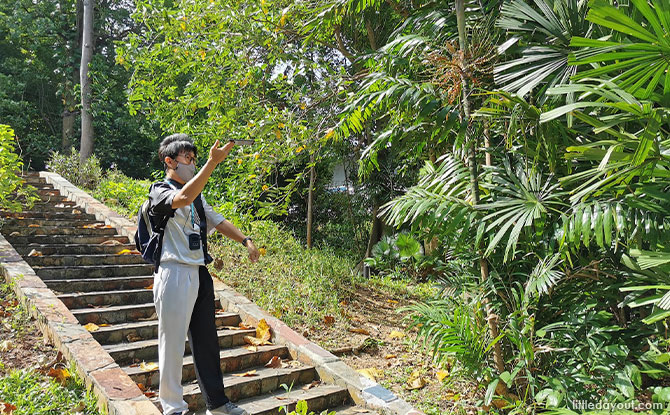 Magical Discovery at Sentosa