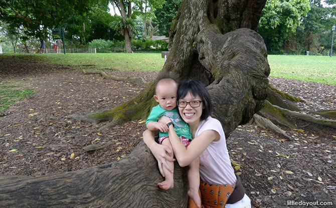 Botanic Garden Tree