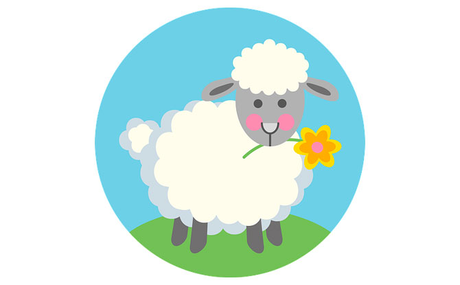 Funny Sheep And Lamb Jokes To Make you Laaaaugh