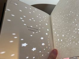 Book Review: Shine By Ng Zi Ning