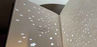 Book Review: Shine By Ng Zi Ning