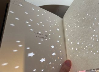 Book Review: Shine By Ng Zi Ning Book Review: Shine By Ng Zi Ning