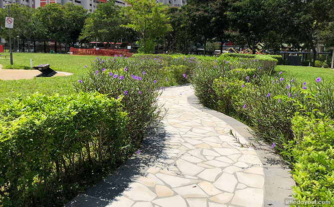 flowers and bushes