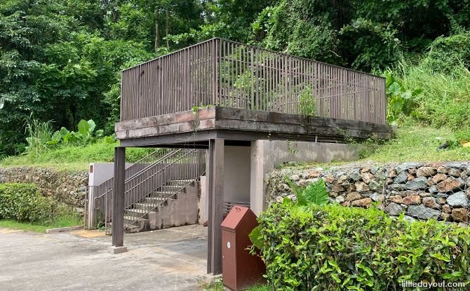 Bird Watching Platform at Springleaf Nature Park