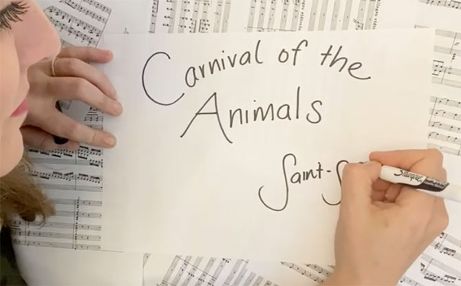 Carnival of the Animals - SSO series for children
