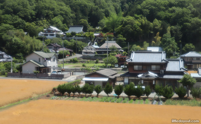 03 tottori sand dunes japan 1