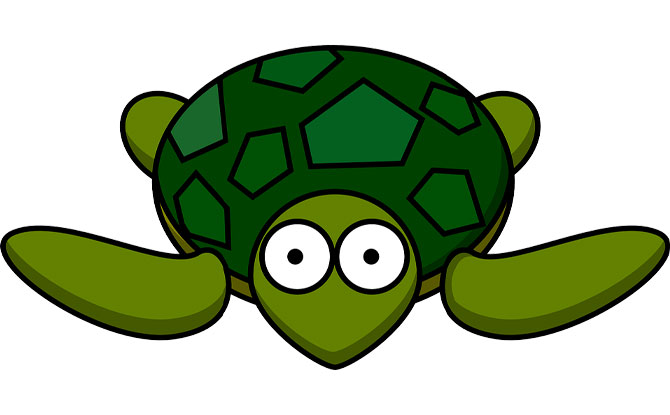 turtle funny