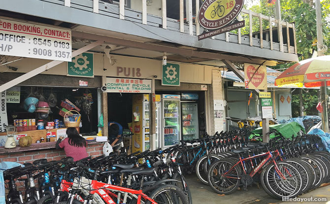 Comfort Bicycle Rental/Pulau Ubin 18