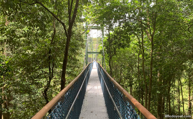 TreeTop Walk