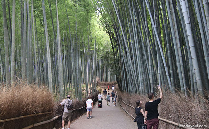 Crowds at the Bamboo Grove