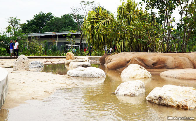 Clusia Cove, Jurong Lake Park