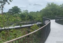 HPL Canopy Link: Connecting Learning Forest To Gallop Extension