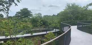 HPL Canopy Link: Connecting Learning Forest To Gallop Extension