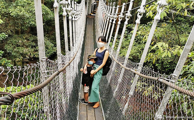 African Treetops’ suspension bridges