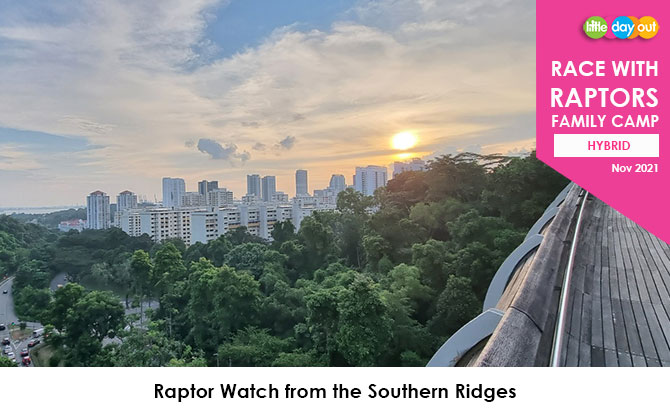 Little Day Out’s 2021 Wild & Wonderful Year-end Family Bonanza: Race with the Raptors Family Camp: Raptor Watch at Henderson Waves