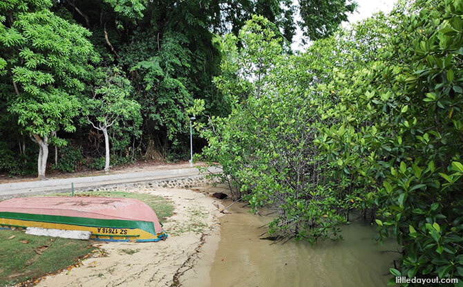 Mangroves at Lazarus Island