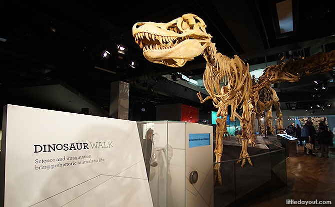 Dinosaur Walk at the Melbourne Museum