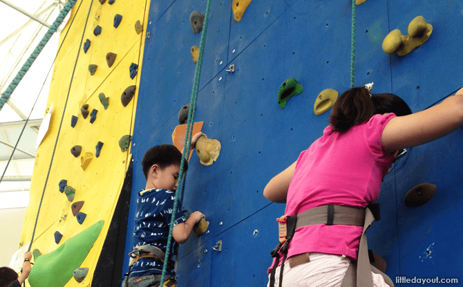 Outdoor Rock Wall