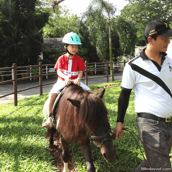 Pony Ride