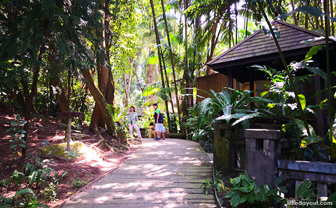 Natural surroundings at Siloso Beach Resort