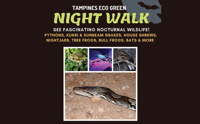 Tampines Eco Green Night Walk