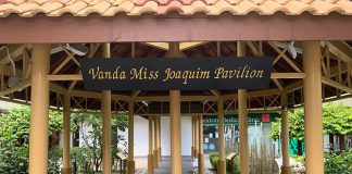 04-Vanda-Ms-Joaquim-Garden