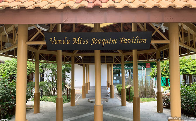 Vanda Miss Joaquim Pavilion: Remembering The Origins Of Singapore’s National Flower 04-Vanda-Ms-Joaquim-Garden