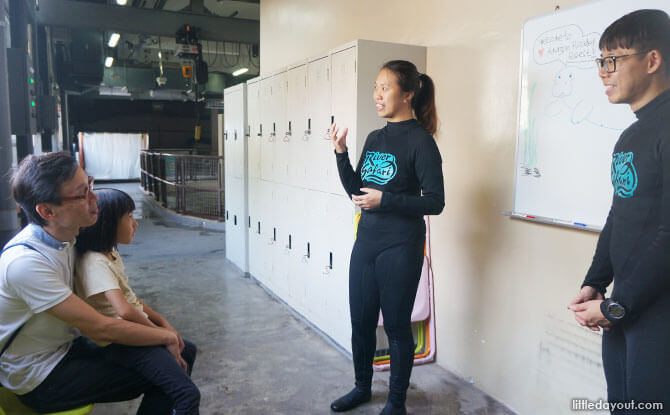 Discovering intriguing facts about manatees from aquarists Mun Yee and Jimmy.