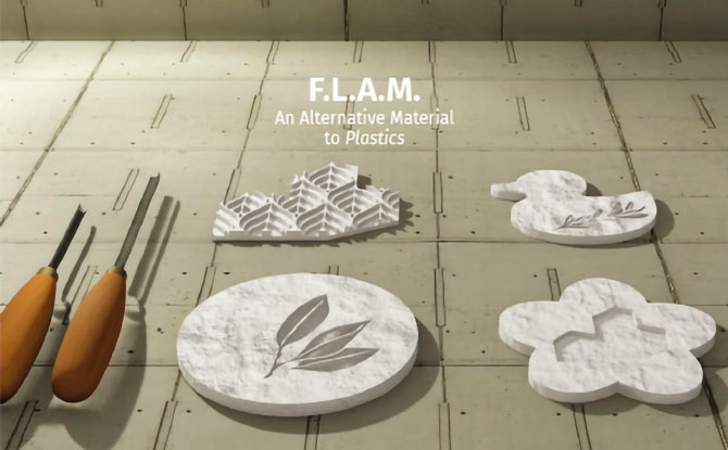 FLAM Biomaterial: An Alternative to Plastics