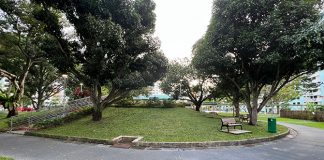 Bedok South Neighbourhood Park: Playground & Community Spaces