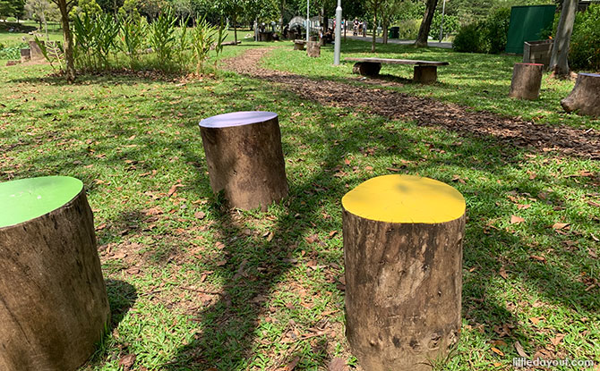 Coloured stumps