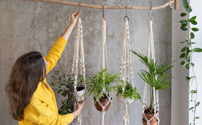 Macrame Plant Hanger