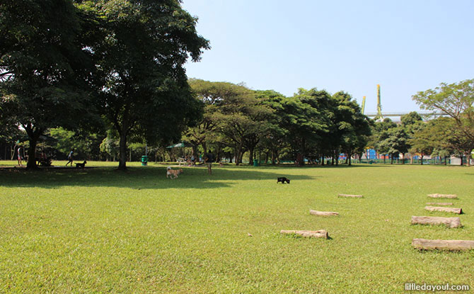 West Coast Park Dog Run