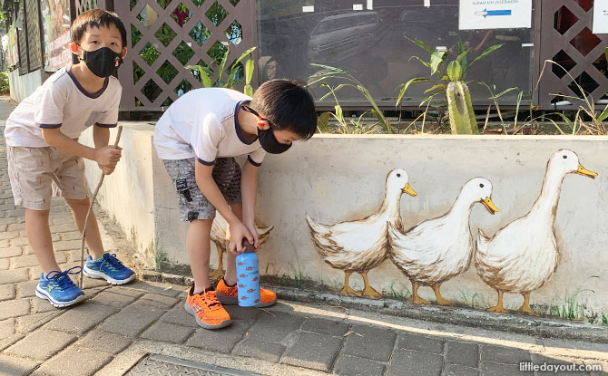 Duck murals