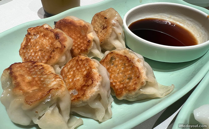 Jumbo Dumplings with Fresh Fillings