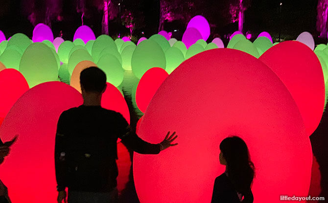 Interactive Art, Autonomous Resonating Lfe on the Water and Resonating Trees - Gardens by the Bay, #futuretogether