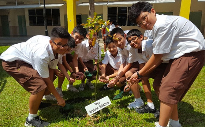 Biodiversity Week for Schools