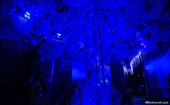 Installation at Glowing Ocean, SEA Aquarium