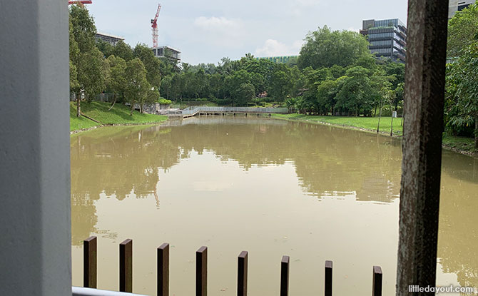 Swamp Pavilion, Jurong Eco Garden