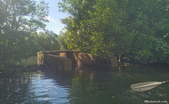 prawn and fish farming structures