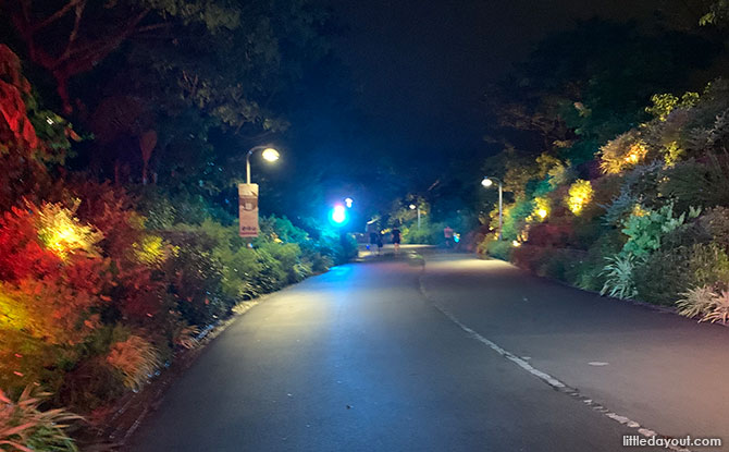 Jurong Lake Gardens Light Up 2021