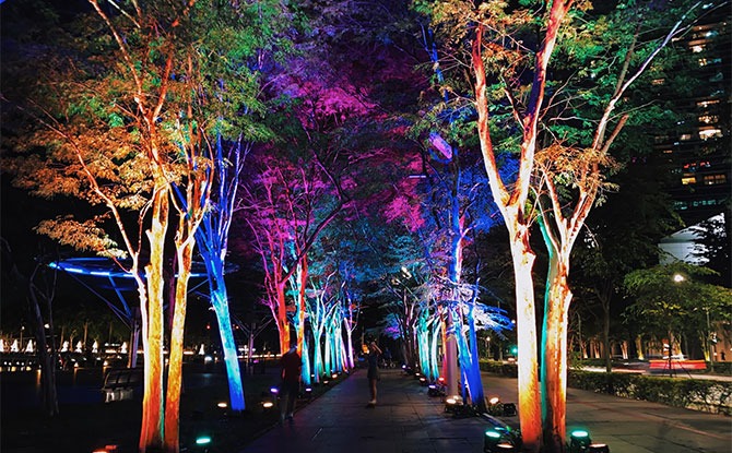 Colourful Light Installations Illuminate The Marina Bay Waterfront This December 1 kaleidoscope of colours on a treetop canopy
