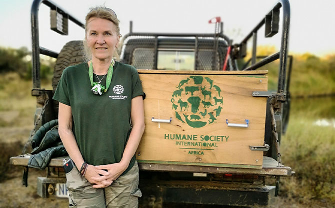 World Pangolin Day: Expert Discussion Panel And New Pangolin Baby 2 Rescue To Release